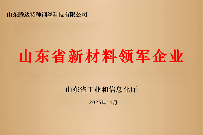 新材料領軍