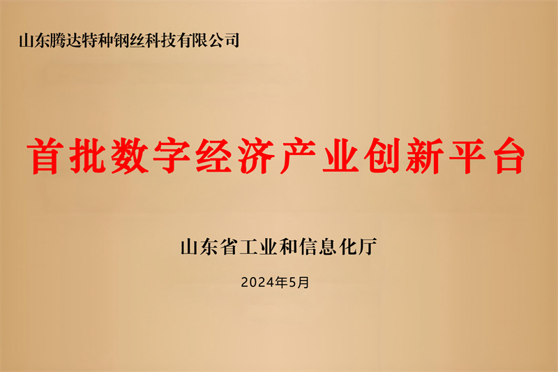 數字經濟平臺